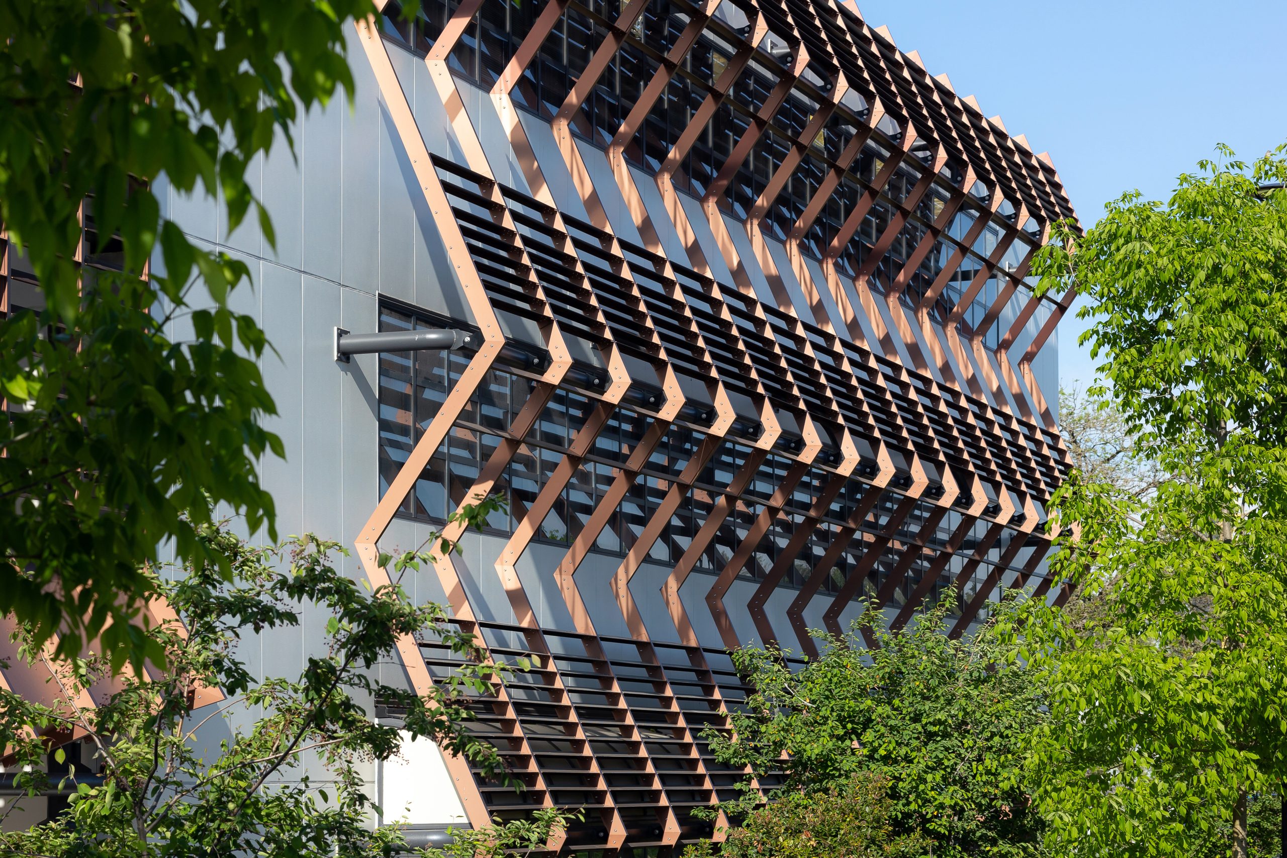 BCIT-NE25-FINAL-DETAIL-1045